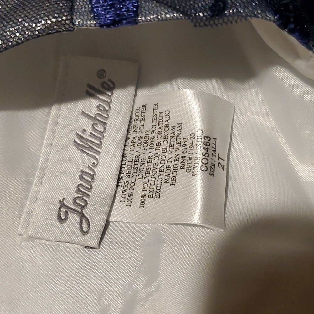 Jona Michelle Toddler Occasions Dress